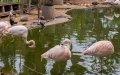 Agadir's Vallée des Oiseaux Renovation Advances: Management Study Underway