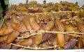 Alert on fake "Moroccan" dates