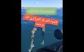 Alleged Algerian Coast Guard Shooting Leaves Two French-Moroccan Vacationers Dead