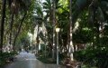 Ambitious Tree-Planting Project Spans Mediterranean Coast from Spain to Algeria