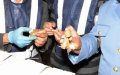 American Traveler Arrested at Casablanca Airport with Over 1kg of Drugs