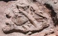 Ancient Beachside Stroll: Dinosaur Footprints Unveil Morocco's Prehistoric Coast