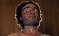 Ancient Canary Islands DNA Reveals Moroccan Ancestry, Study Finds