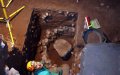 Ancient DNA Reveals: Iberian Farmers Brought Agriculture to Morocco 7,400 Years Ago