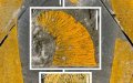 Ancient "Giant" Marine Worm Fossils Unearthed in Morocco's 455-Million-Year-Old Rocks