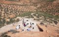 Ancient Macaque Fossil Reveals Diet and Habitat in 2.5-Million-Year-Old Morocco