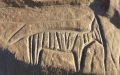 Ancient Rock Art in Morocco's Guelmim Region Faces Threat of Destruction