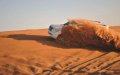 Anti-Tank Mine Explosion Injures Civilians Near Dakhla, Western Sahara