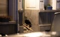 Antwerp Rocked by Late-Night Explosion, Drug Gang Suspected
