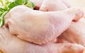 EU Approves Moroccan Poultry Imports After Years of Negotiations