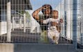 Undocumented Immigrants in French Detention Center Fear COVID-19 Exposure, Launch Hunger Strike