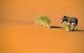 Morocco Braces for Scorching Heat Wave as Temperatures Soar Above 40°C