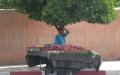 Nearly 1 Million Moroccan Workers Unemployed as COVID-19 Impacts Economy