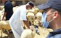 Morocco Urges Caution for Eid Al-Adha Gatherings Amid COVID-19 Surge