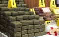 Drug Kingpin with 40 Warrants Captured in Moroccan Forest Hideout