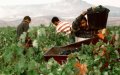Spain Extends Work Permits for Young Foreign Agricultural Workers by Two Years