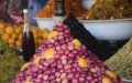 Morocco Climbs to 5th Largest Olive Oil Producer Globally, Forecasts Show