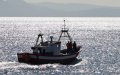Moroccan Migrants Arrested for Kidnapping Fisherman, Hijacking Boat in Lanzarote