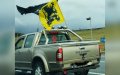Belgian Police Arrest Owner of Nazi-Symbol Truck in Dawn Raid