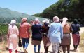 Spain Prioritizes Moroccan Workers for Agricultural Season Amid COVID Protocols