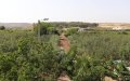 Morocco Court Sentences Four to 17 Years for Attempted Land Theft in El Jadida