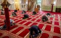 Moroccan Civil Society Petitions King as PJD Accused of Politicizing Mosques Ahead of Elections