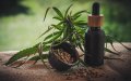 Morocco Explores Cannabis Cosmetics Market Amid Legal Uncertainties