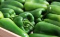 Germany Bans Moroccan Peppers Over Dangerous Pesticide Levels