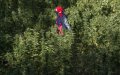 Morocco Considers Cannabis Legalization, Eyeing $10 Billion Annual Revenue