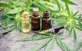 Morocco Poised to Enter Booming Global Medical Cannabis Market