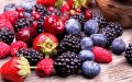 Morocco's Berry Exports Thrive: 90% of Crop Reaches Global Markets
