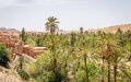 Algeria Issues Ultimatum to Moroccan Farmers Near Border, Escalating Tensions
