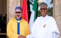 Morocco and Nigeria Launch $1.3 Billion Chemical Plant to Boost Fertilizer Production