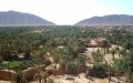 Moroccan-Algerian Border Tensions Disrupt Ancient Oasis Farming in Figuig