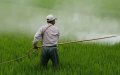 Morocco Moves to Tighten Pesticide Regulations Following Audit Report