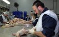 Morocco Aims to Boost Exports with New Kosher Certification Partnership