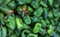 Czech Authorities Pull Moroccan Peppers Over Dangerous Pesticide Levels