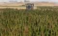 Moroccan Cannabis Farmers Form Committee to Advocate for Legalization Interests