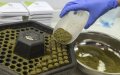 Morocco's Cannabis Legalization Push Seeks European Support for Medical and Industrial Use