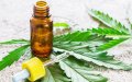 Survey: Majority of Moroccans Support Medical and Industrial Cannabis Use
