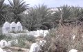 Vandals Target Christian Cemetery in Casablanca, Police Launch Investigation