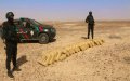 Massive Drug Bust in Western Sahara: Over 1.2 Tons of Cannabis Seized, Two Arrested