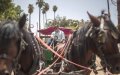 Morocco's Tourism Industry Faces Collapse, Entrepreneurs Demand Urgent Action