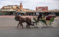 World Bank Forecasts Strong Economic Recovery for Morocco Despite Global Crisis