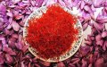 Morocco's Saffron Industry Booms: 'Red Gold' Cultivation Triples in a Decade