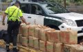 Spanish Police Seize 725 Kilos of Hashish Hidden in Pepper Shipment