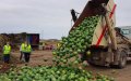 Spanish Farmers Urge EU to Curb Fruit Imports from Morocco, Other Nations