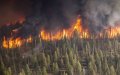 Record-Breaking Heat Wave Sparks Widespread Forest Fires Across Morocco