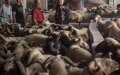 Vox Criticizes Ceuta Government for Rescheduling Meeting Around Moroccan Eid al-Adha Date