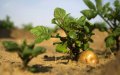Israel's Exports to Morocco Could Surge to $250 Million Annually, Report Finds